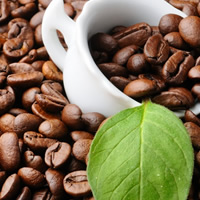 Beneficios de tomar café